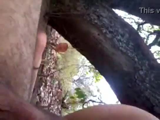 Videos porno lesbico chupando buceta Molde de jardineira bunda rica